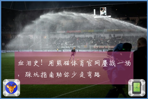 血泪史！用熊猫体育官网鏖战一场，踩坑指南助你少走弯路