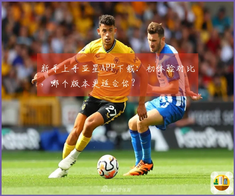 新手上手亚星APP下载：初体验对比，哪个版本更适合你？