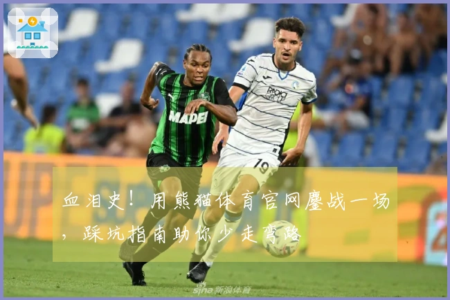 血泪史！用熊猫体育官网鏖战一场，踩坑指南助你少走弯路