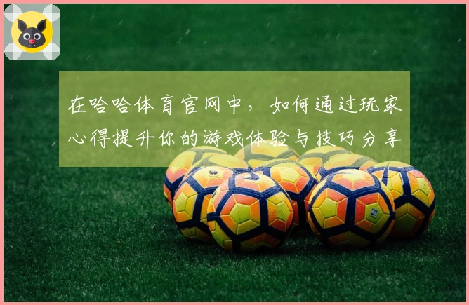 在哈哈体育官网中，如何通过玩家心得提升你的游戏体验与技巧分享