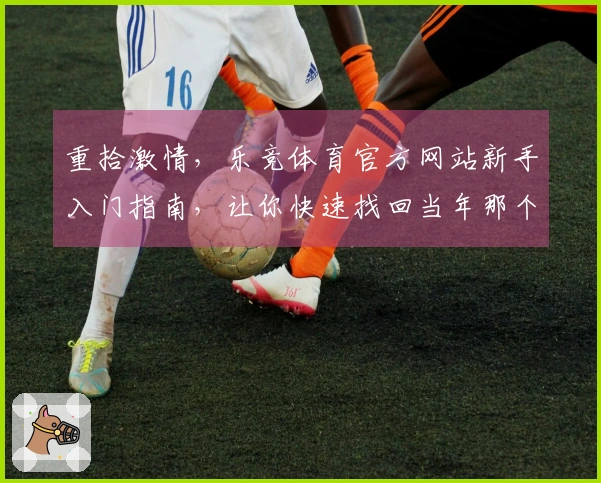 重拾激情，乐竞体育官方网站新手入门指南，让你快速找回当年那个无所不能的你